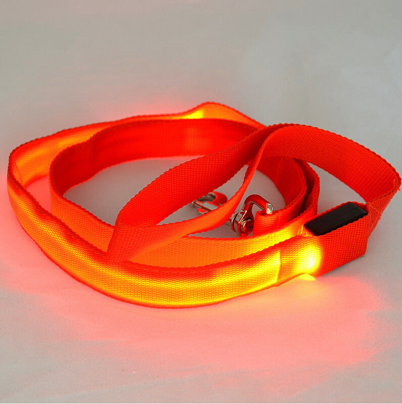  Portable Glowing LED Dog Leash | 2026 | Petluxx
