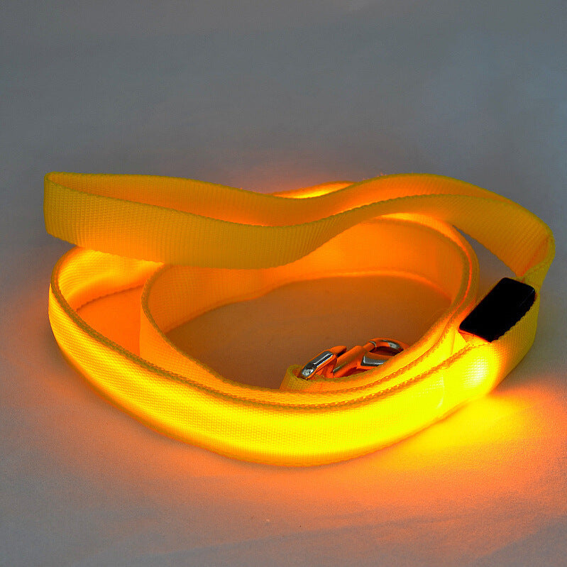  Portable Glowing LED Dog Leash | 2026 | Petluxx