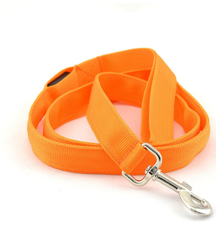  Portable Glowing LED Dog Leash | 2026 | Petluxx