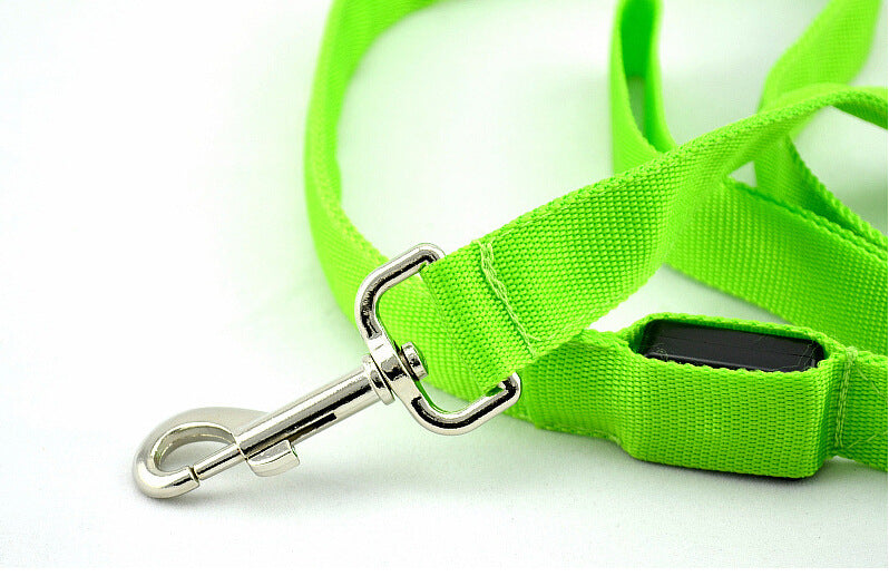  Portable Glowing LED Dog Leash | 2026 | Petluxx