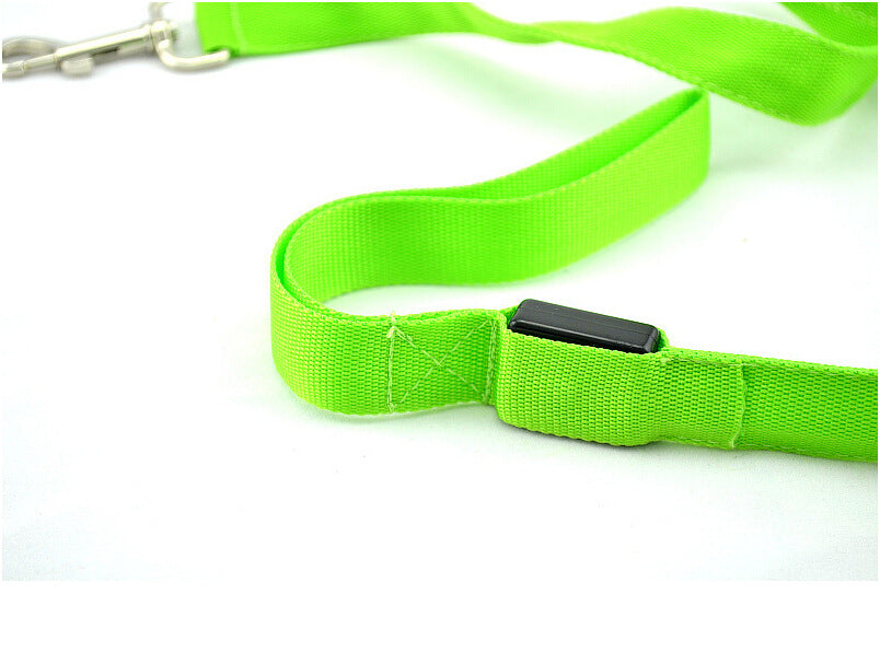  Portable Glowing LED Dog Leash | 2026 | Petluxx