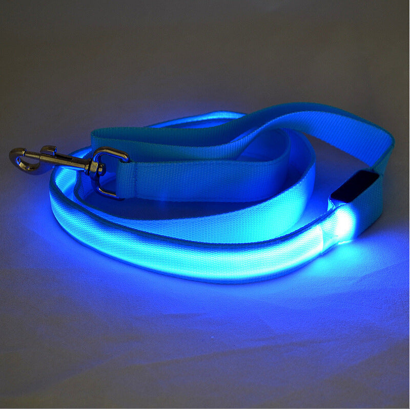  Portable Glowing LED Dog Leash | 2026 | Petluxx