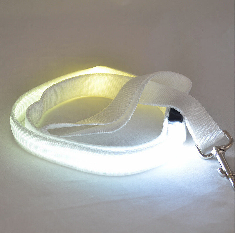  Portable Glowing LED Dog Leash | 2026 | Petluxx