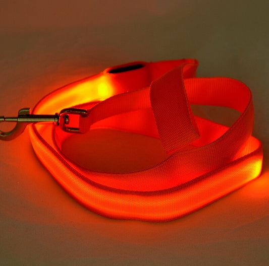  Portable Glowing LED Dog Leash | 2026 | Petluxx